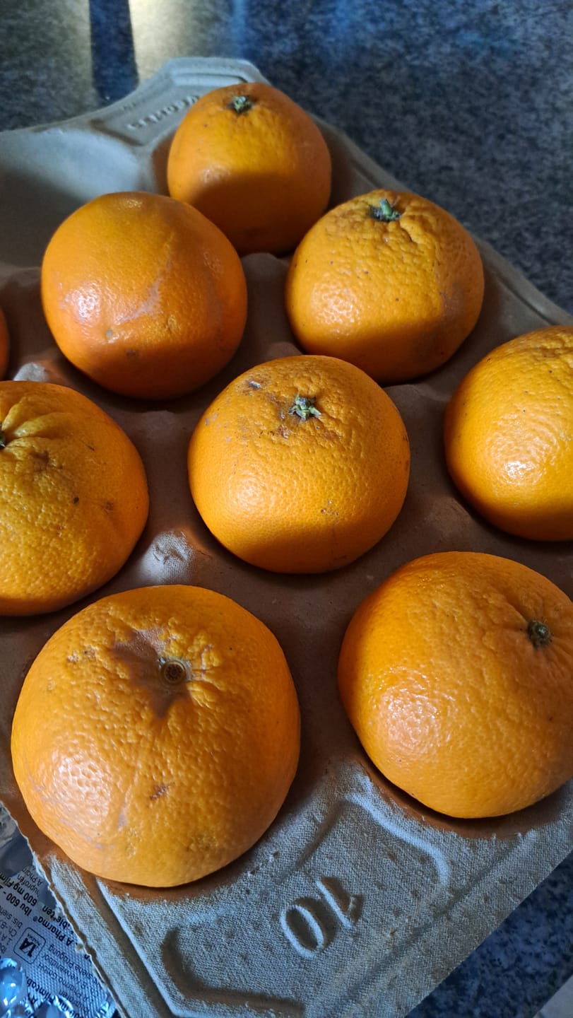 Customer photo review of Orangen Lane Late Bio von Apostolis Kreta 4kg Box