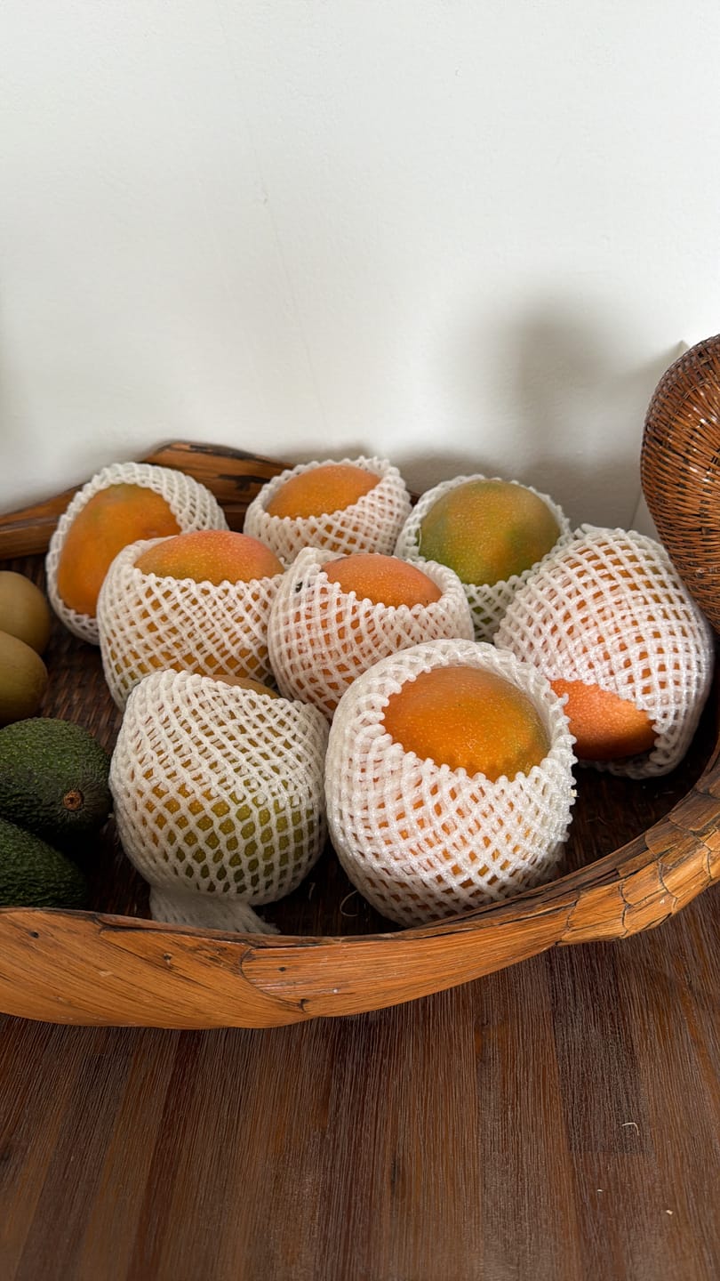 Customer photo review of Mango Kent Premium Bio von Karina baumgereift