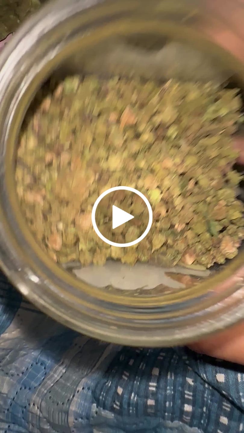 Customer video review of Indoor Micros