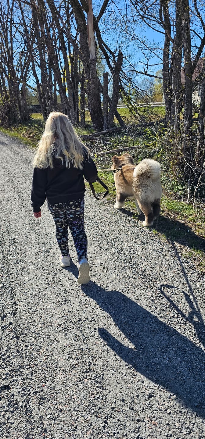 Customer photo review of Guard Leash Black Edition Khaki - Väktarkoppel med extra handtag