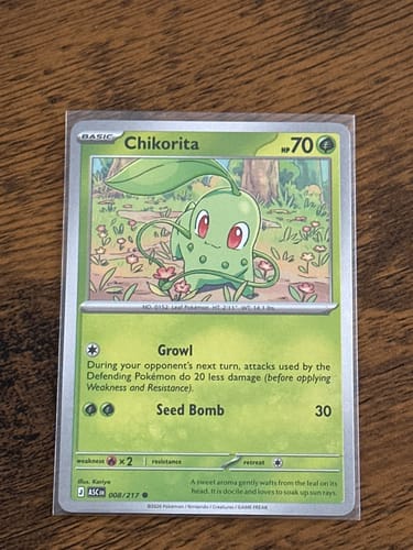 Customer photo review of Pokémon TCG: 'Mega Evolution-Ascended Heroes' First Partners Deluxe Pin Collection