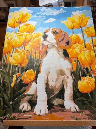 Customer photo review of Tulip Beagle