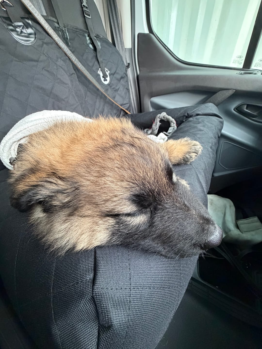 Customer photo review of Car Seat Cover