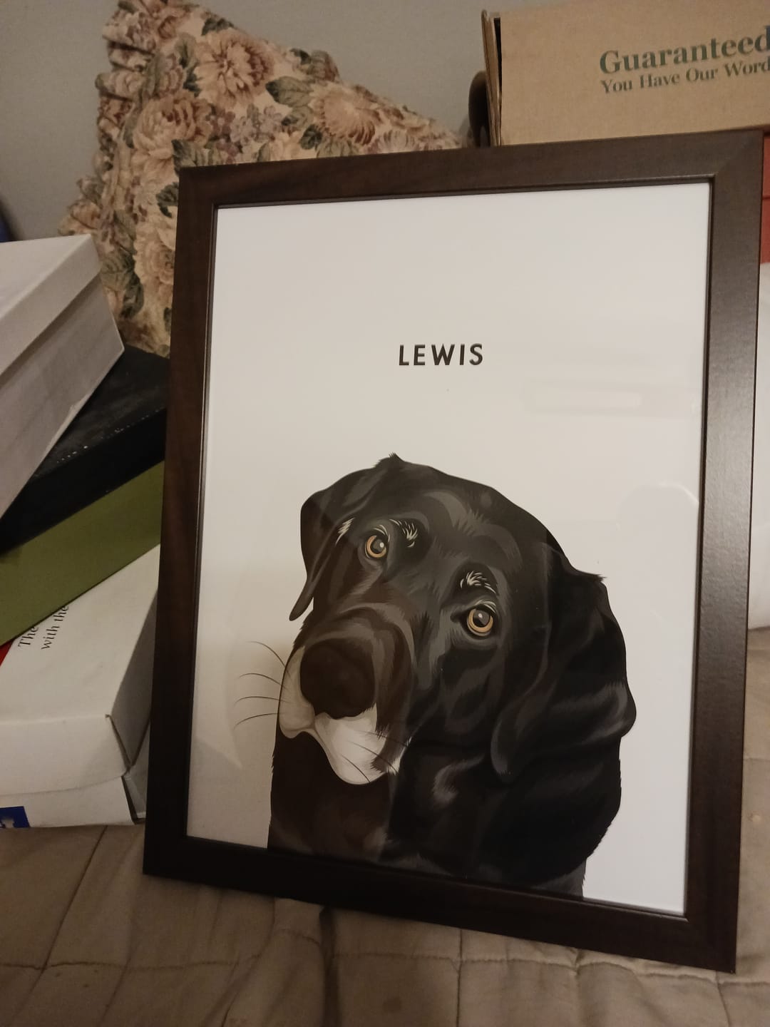 Customer photo review of Custom One Pet Portrait