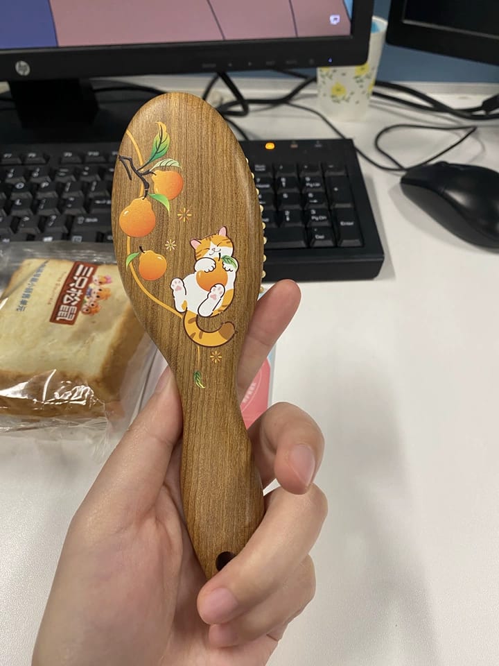 Customer photo review of Orange Cat Hair Brush