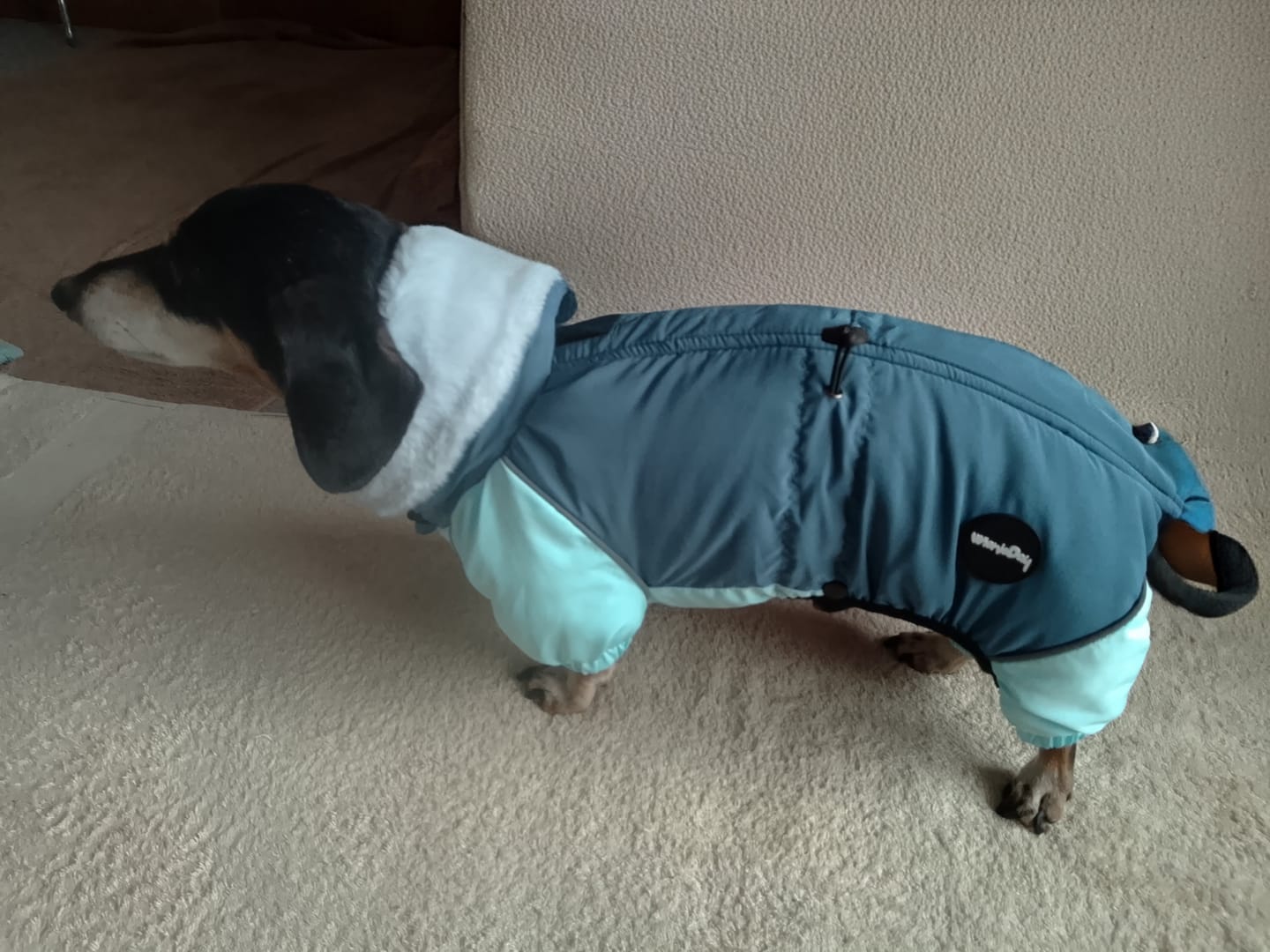 Customer photo review of SnowTrail Down Coat