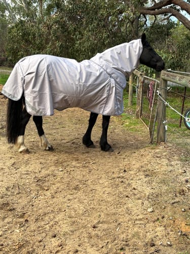 Customer photo review of LE Boxter Turnout 0g