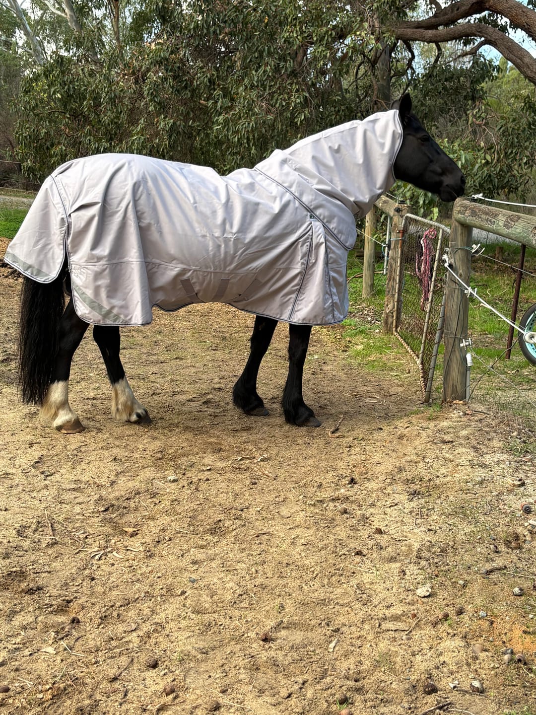 Customer photo review of LE Boxter Turnout 0g