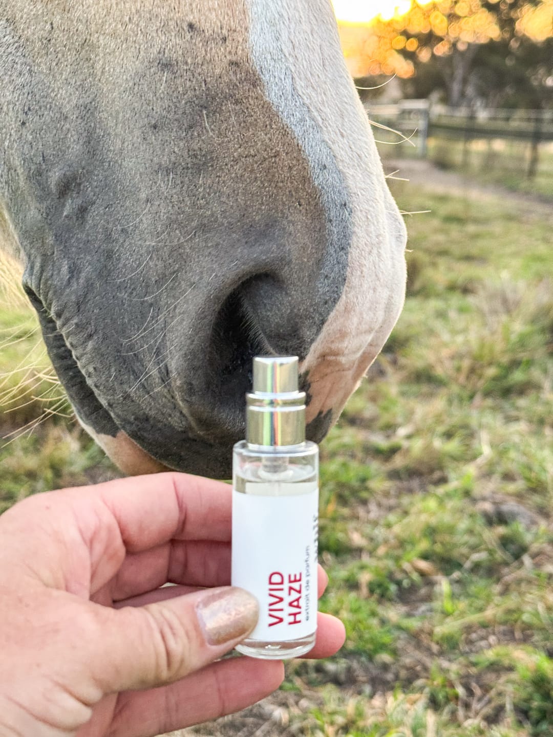 Customer photo review of Vivid Haze
