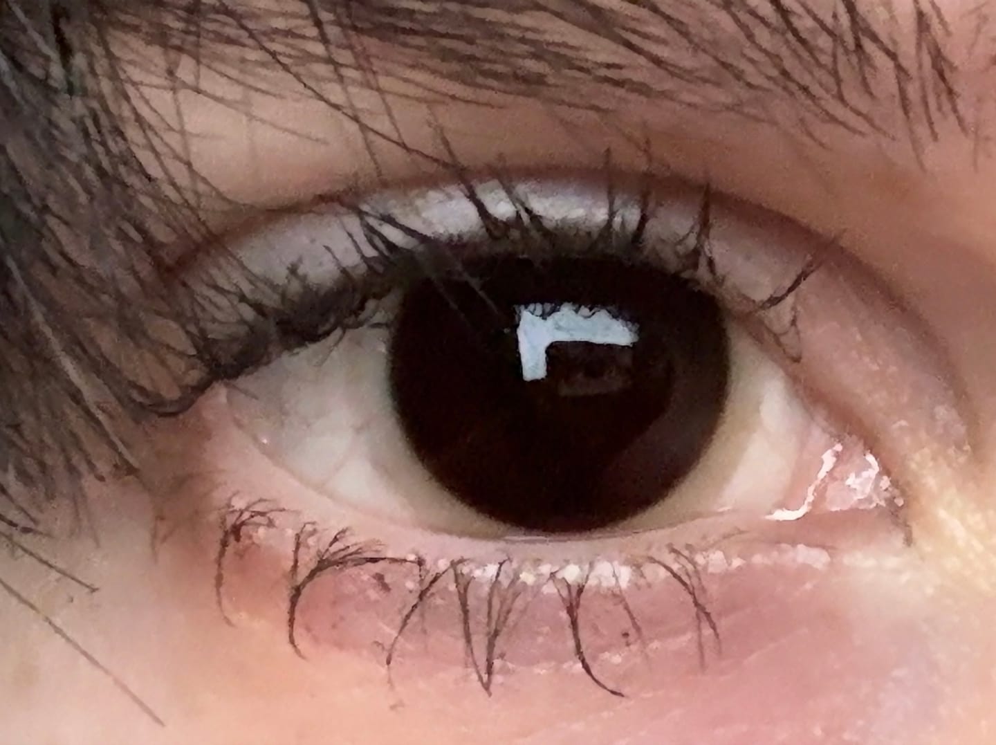 Customer photo review of Eyeling Ultra Brown