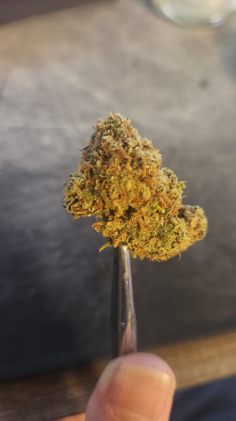 Customer photo review of Jack Herer - Indoor - 4 Grams - Sativa