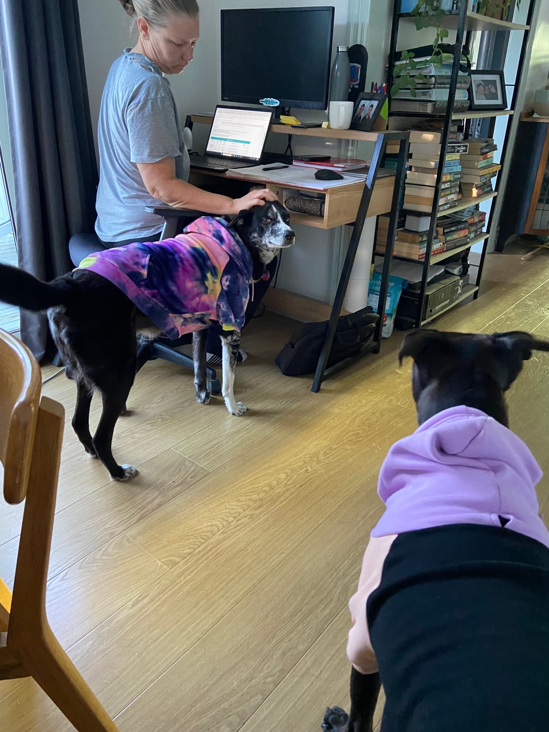 Customer photo review of Velvet Dog Hoodie - Berry Lemonade
