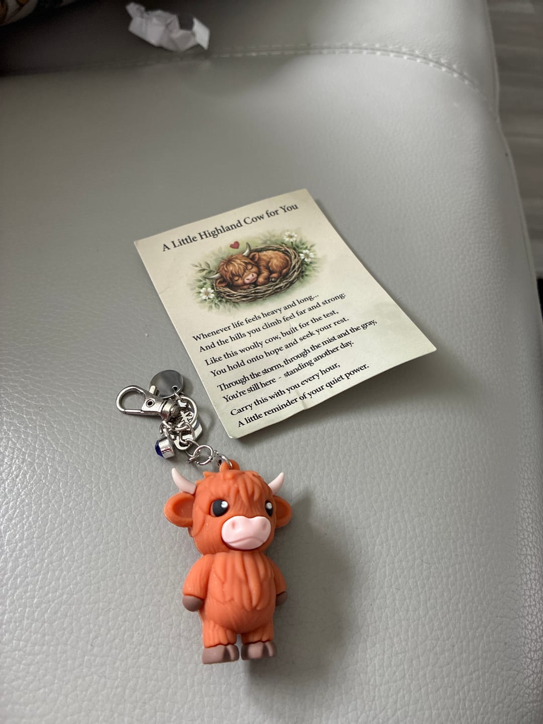 Customer photo review of 🐮A Little Highland Cow For You Keychain: Your Daily Reminder of Quiet Strength