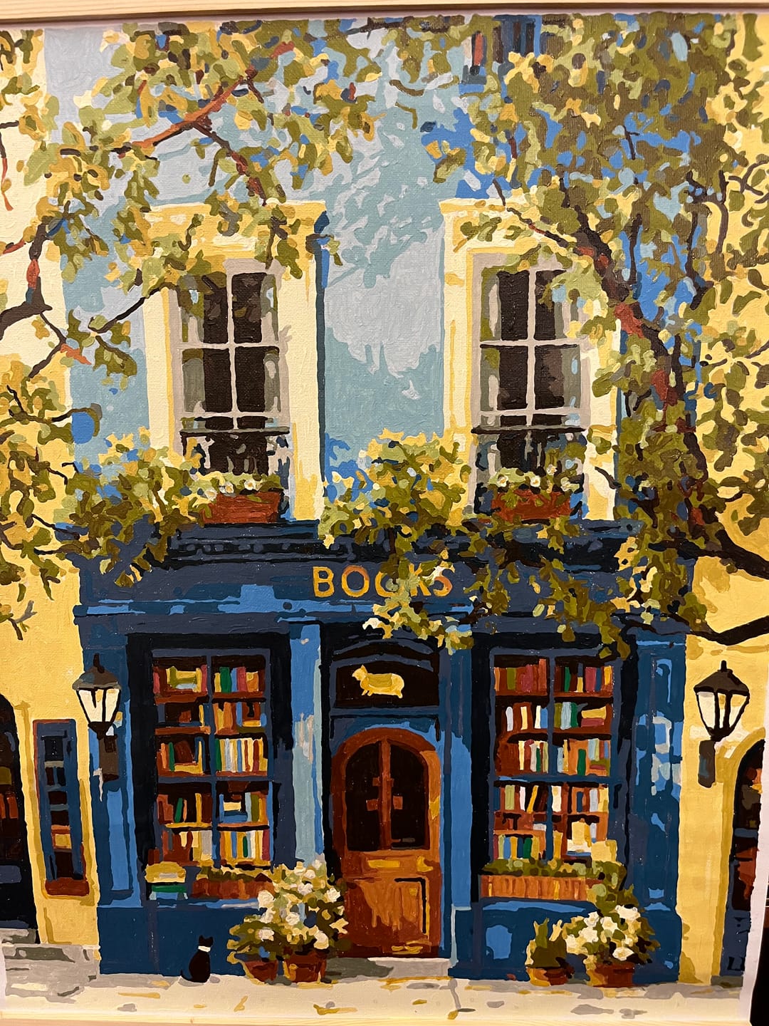 Customer photo review of The Blue Bookshop | Paint by Number