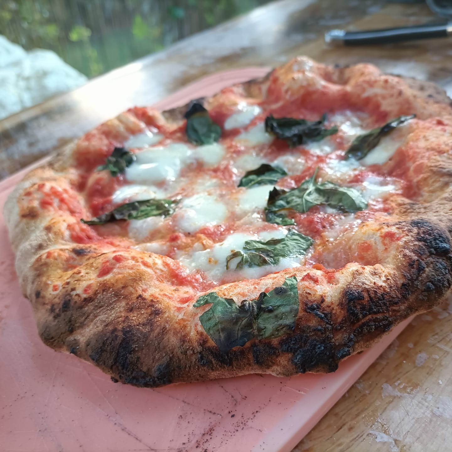 Customer photo review of Caputo Pizzeria  Mehl
