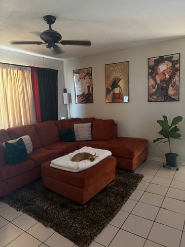Customer photo review of Abstract Beauty