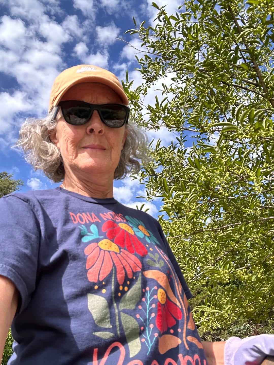 Customer photo review of Dona Nobis Pacem T-Shirt