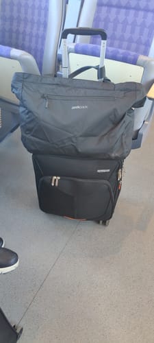 Customer photo review of Foldable Travel Tote 20L