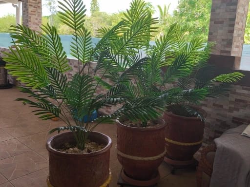 Customer photo review of 50-Inch Giant Artificial Palm Tree Realistic Full Lush Greenery Indoor Outdoor All-Season Decor for Home Office Wedding Party