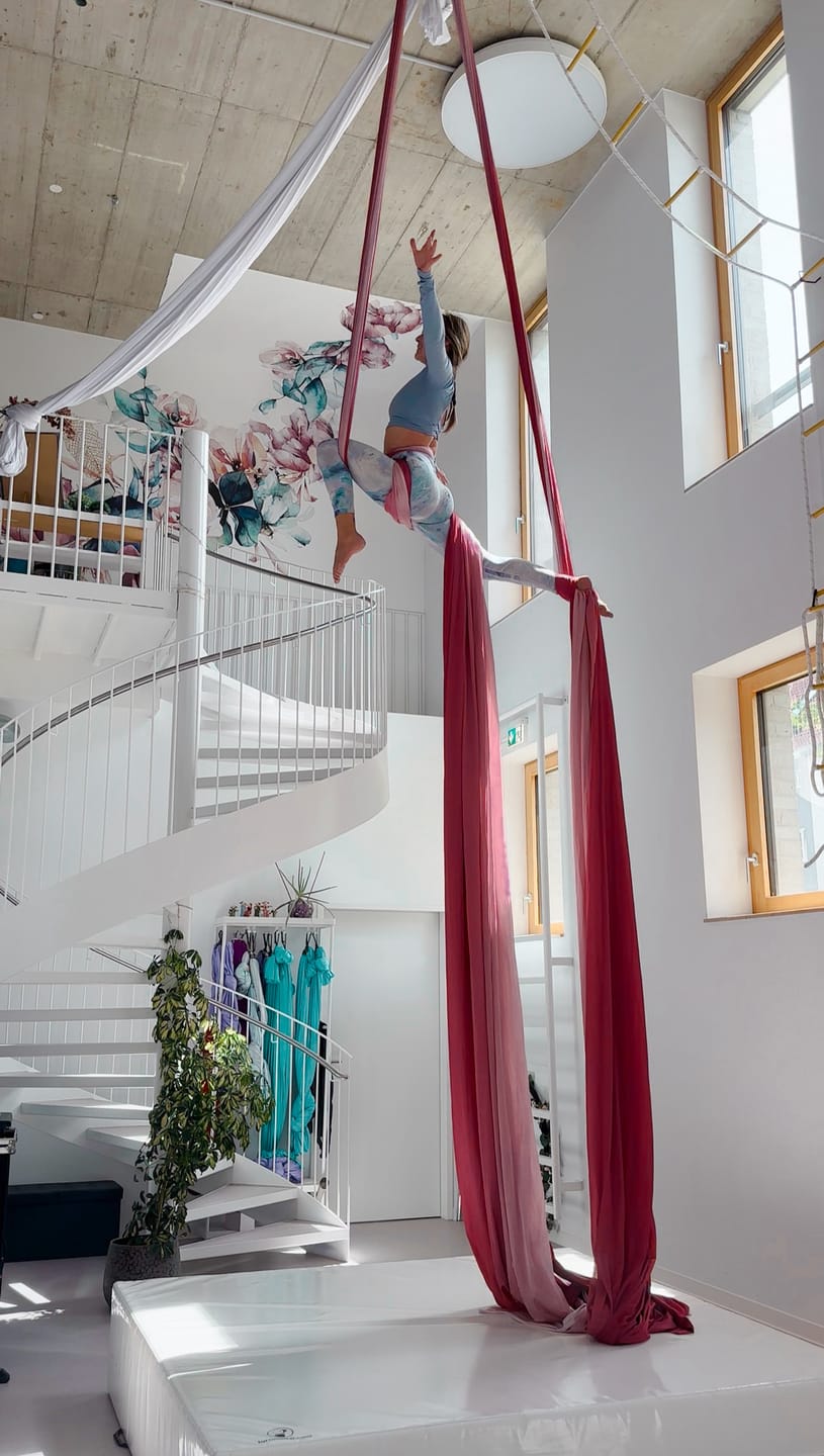 Customer photo review of Aerial Silk Gradient - rose