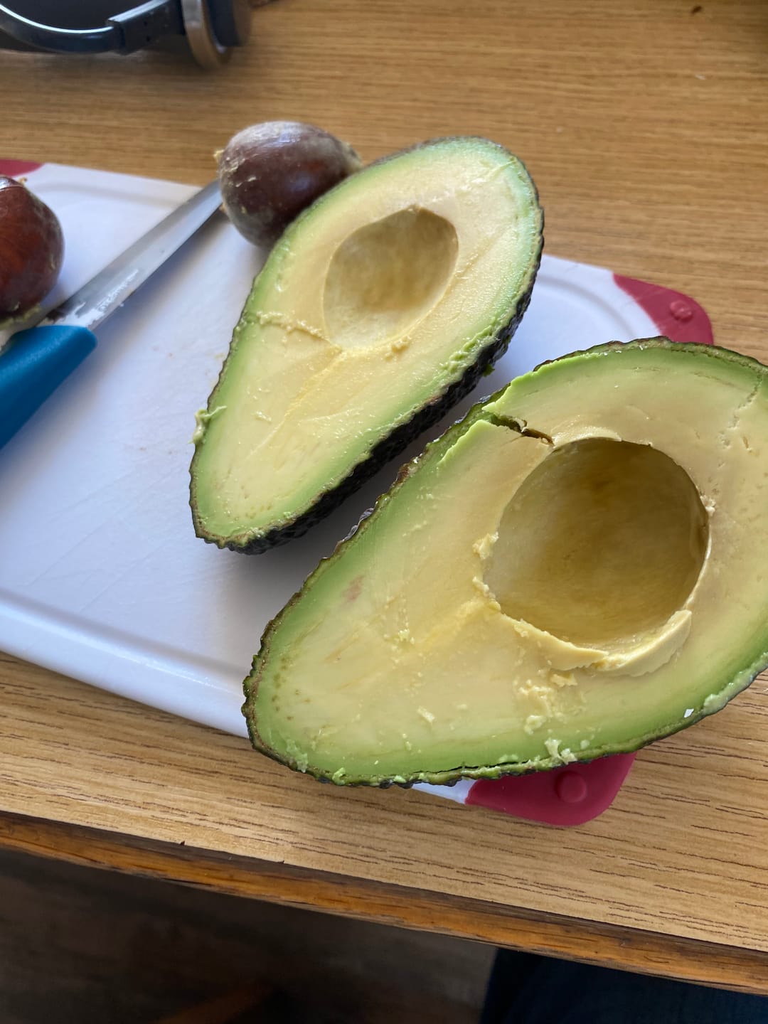 Customer photo review of Avocado-Mix 13 Monate baumgereift Sonderaktion % 2kg Box