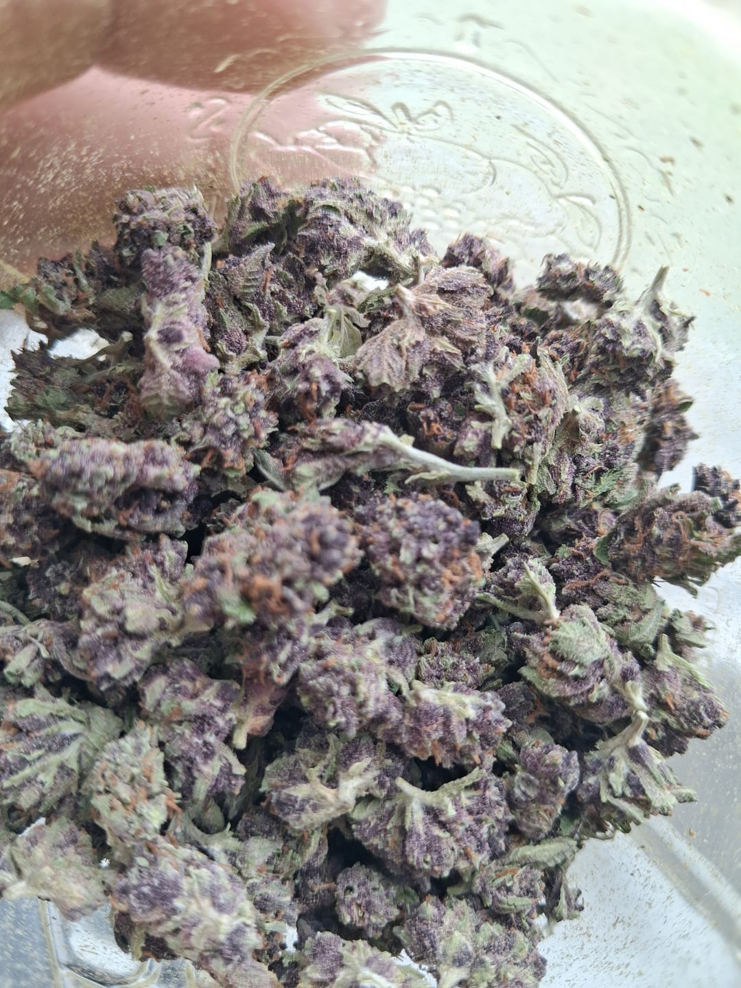 Customer photo review of Granddaddy Purple Micros - 28 Grams - Indica