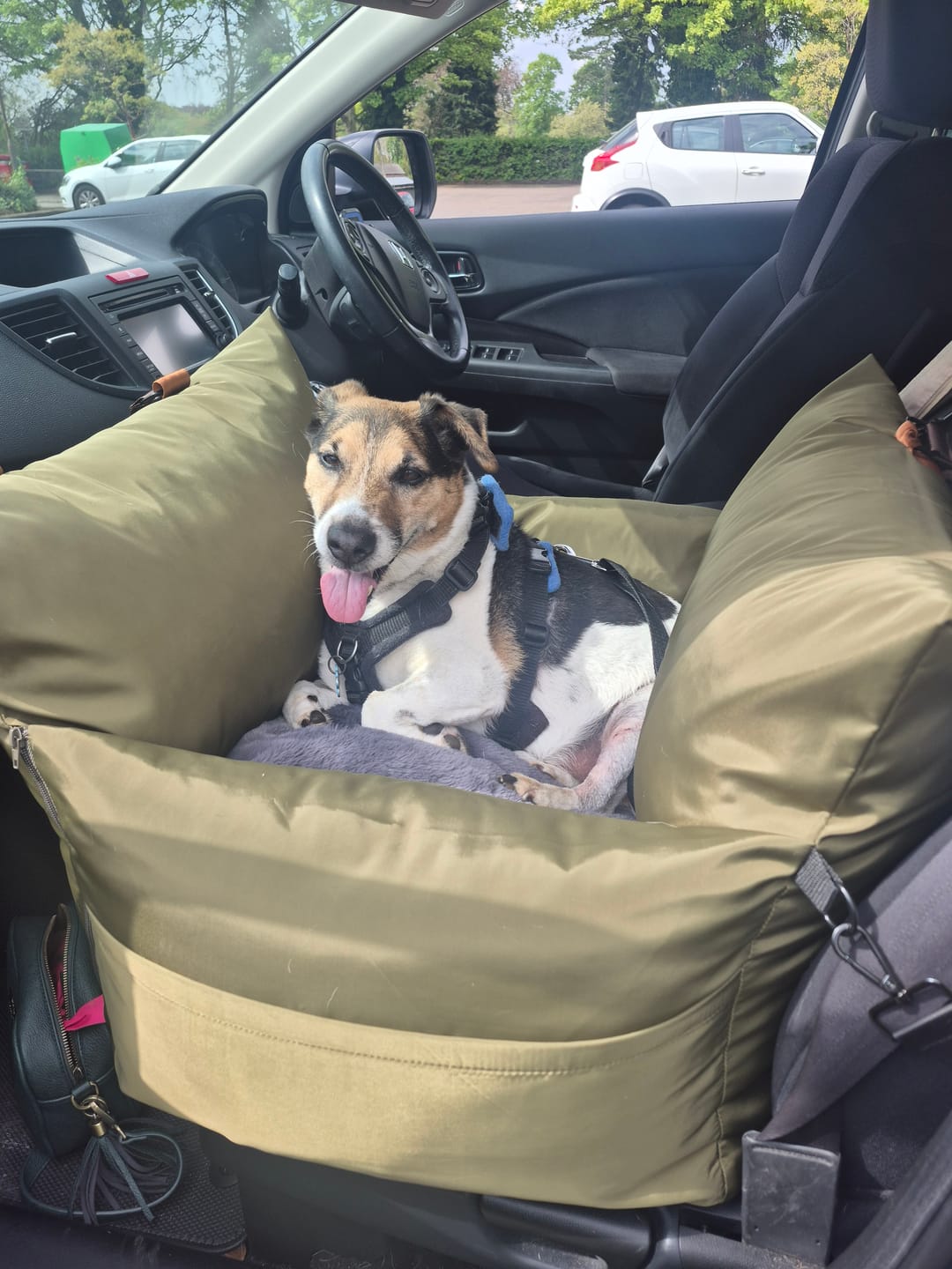 Customer photo review of Travel Dog Pod - Now With IsoFix