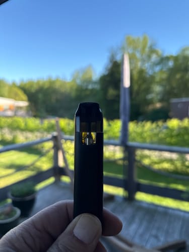 Kunde hält den schwarzen THC Cherry Gelato Vape im Freien in der Hand.
