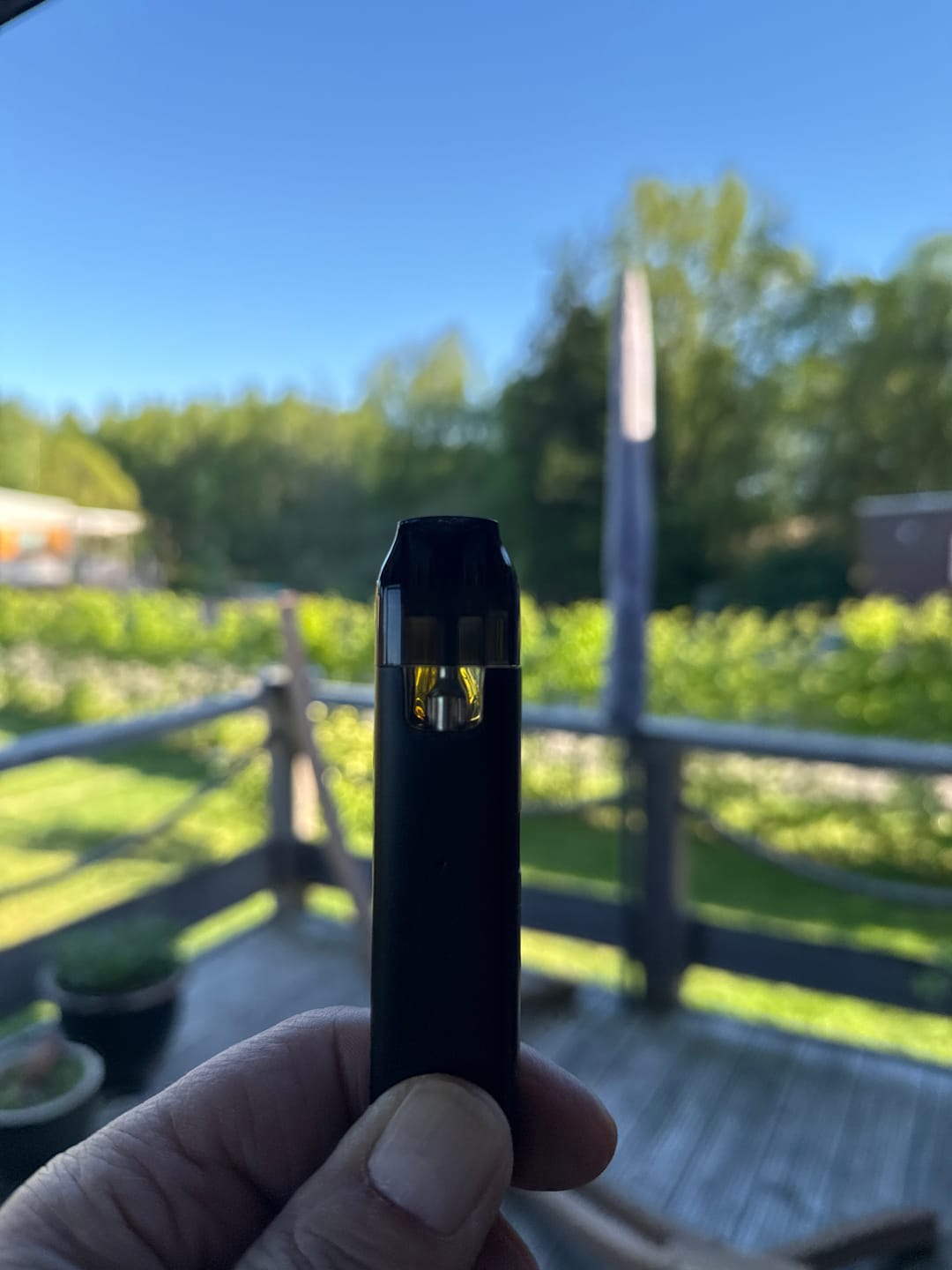 Customer photo review of THC Cherry Gelato Vape (1 ml / 95 %)