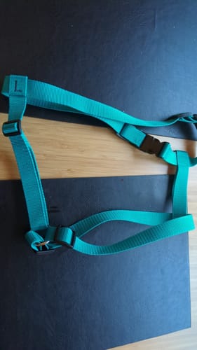 Customer photo review of Polypropylene (PP) webbing - 25mm - Black | 4Kyon