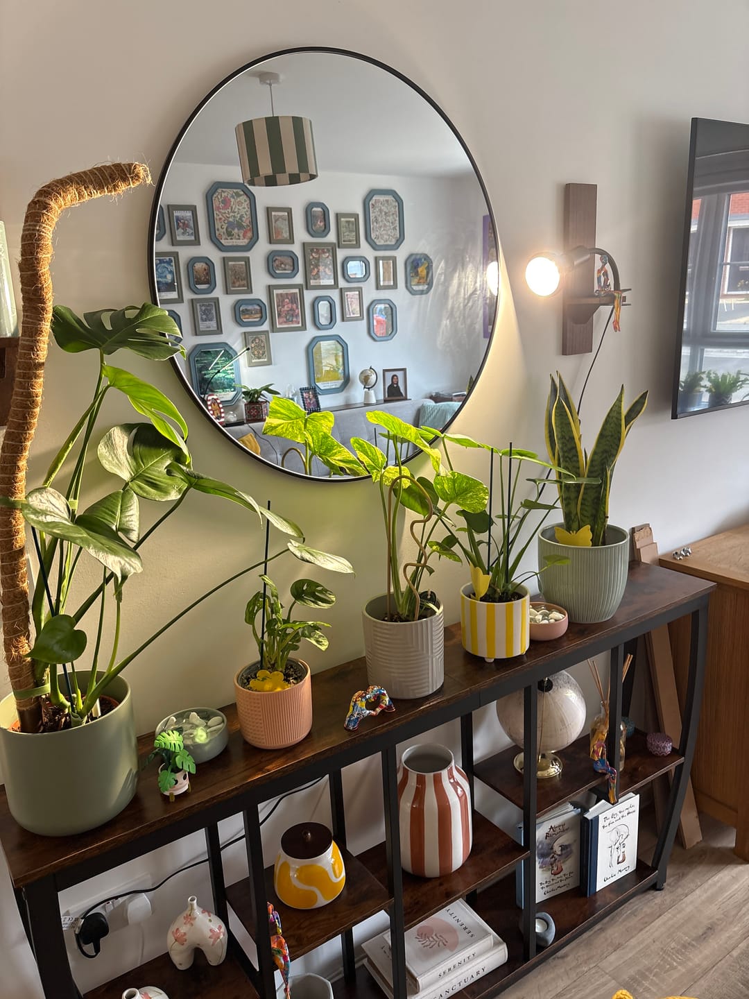 Customer photo review of Pianta Grow Light and Stelo Clip-On Bulb Holder Bundle