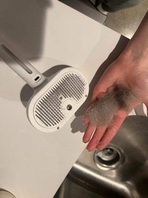 Customer photo review of The Groom Lab | Steam Brush™