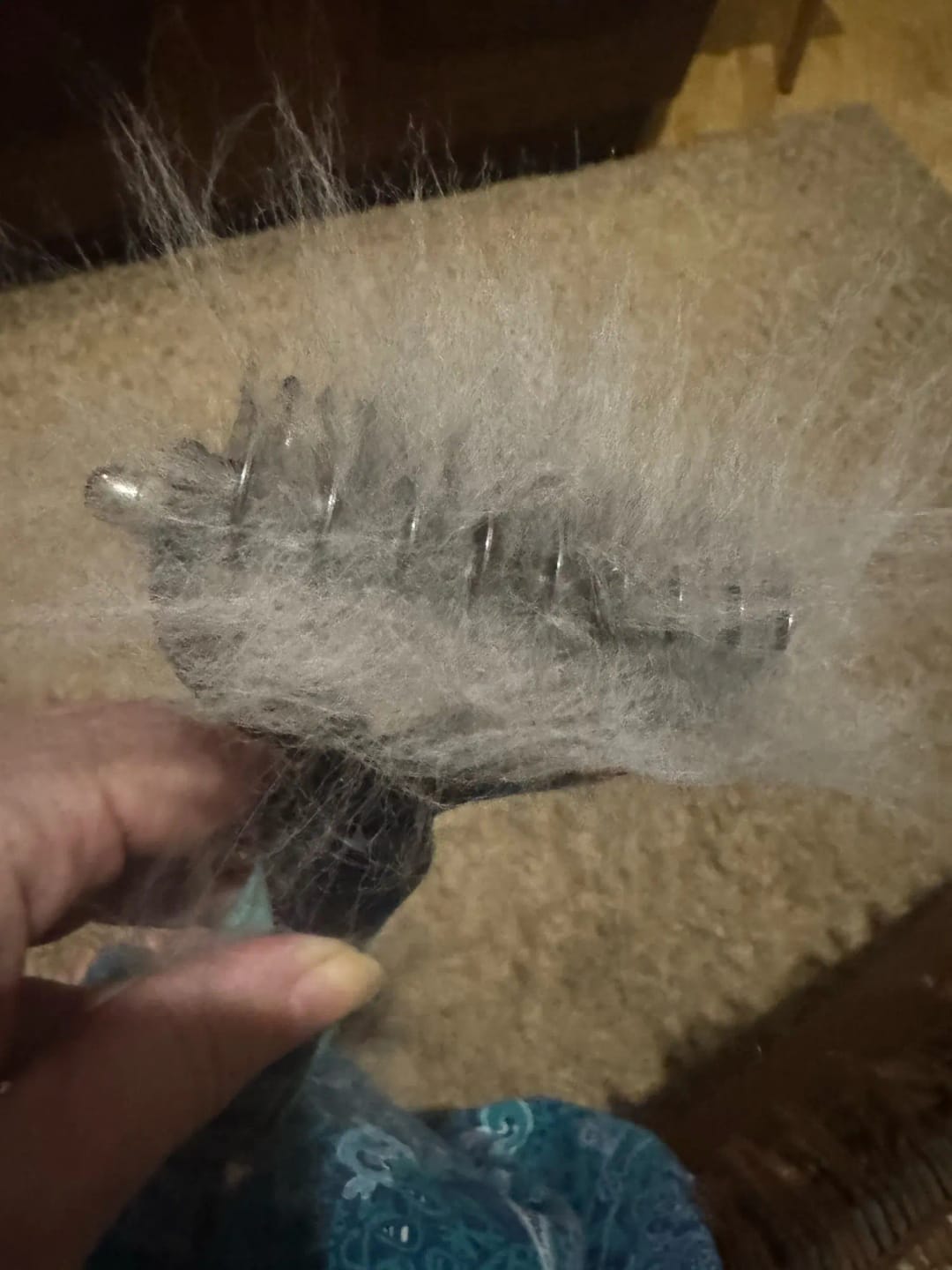 Customer photo review of FurFlow Dog Deshedding Undercoat Rake Brush | Ultimate Dog Grooming Tool