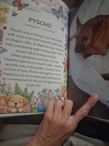 Customer photo review of Cutest Pets of Pupvote Spring 2026