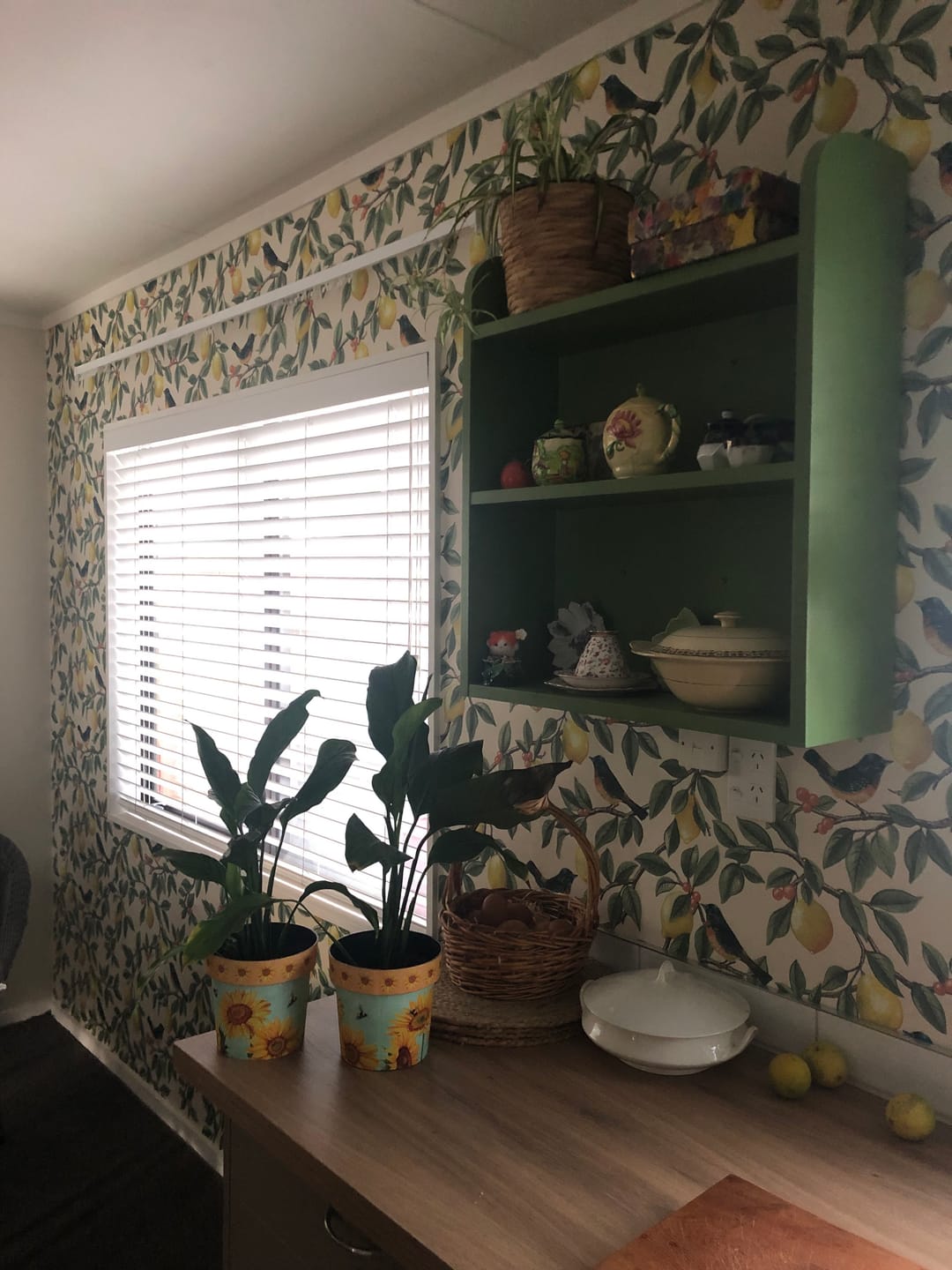 Customer photo review of Ponderosa Bird and Lemon Wallpaper - Cream/Orange