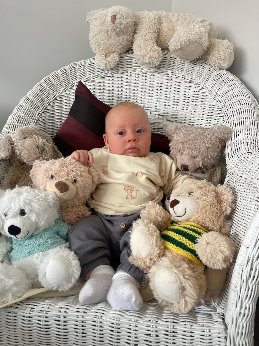 Customer photo review of Luca Pant || Lagoon