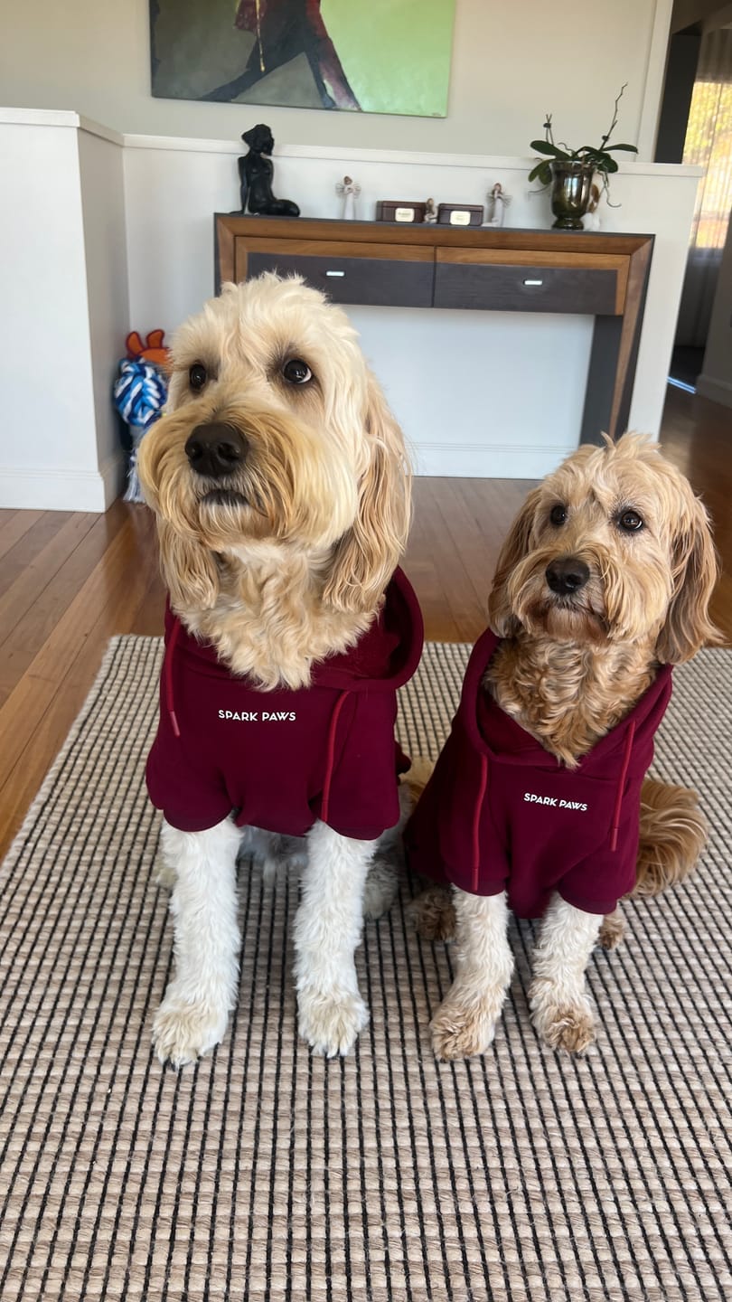 Customer photo review of Essential Dog Hoodie - Burgundy