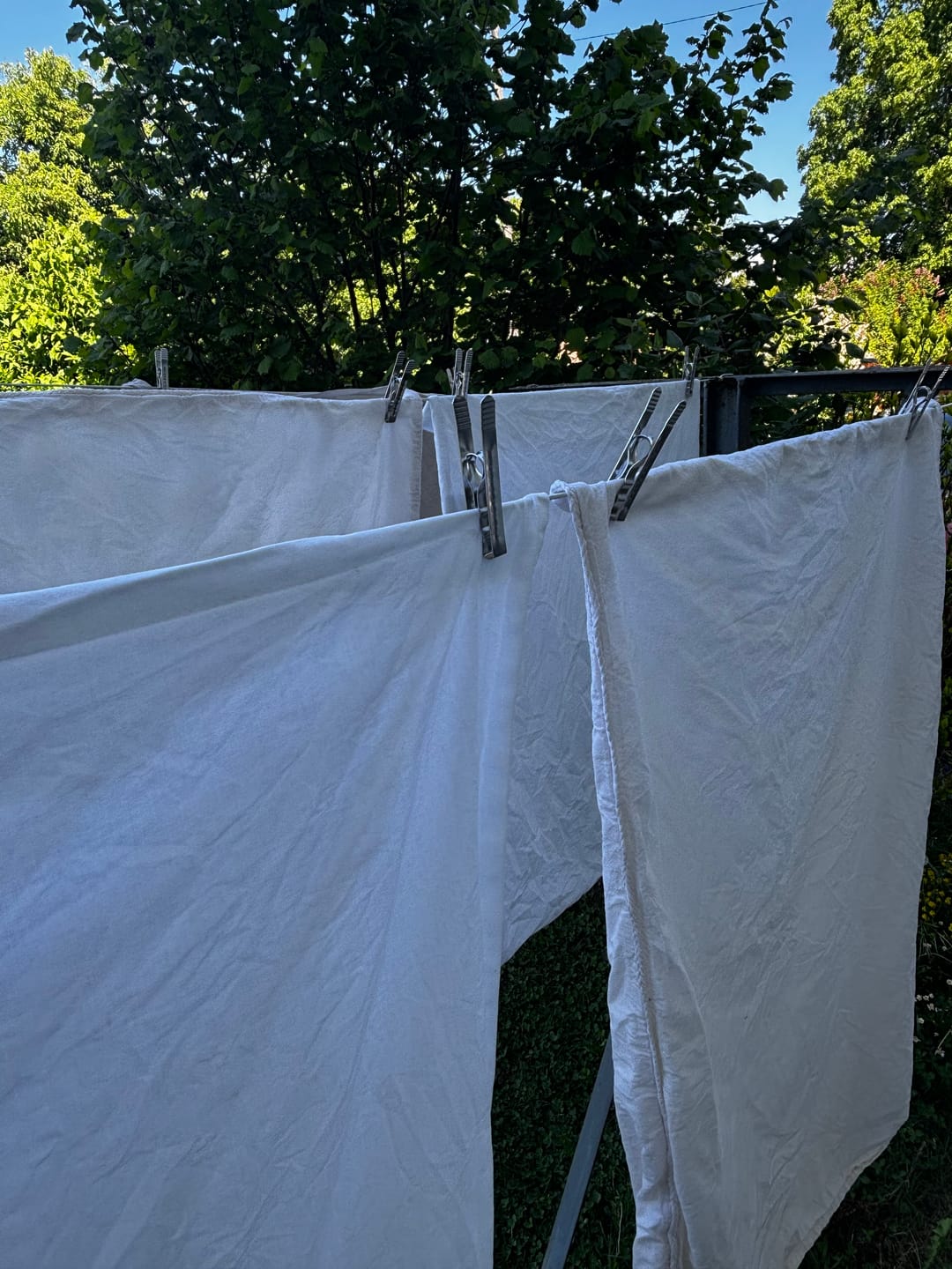 Customer photo review of Pinces à linge inox incassables