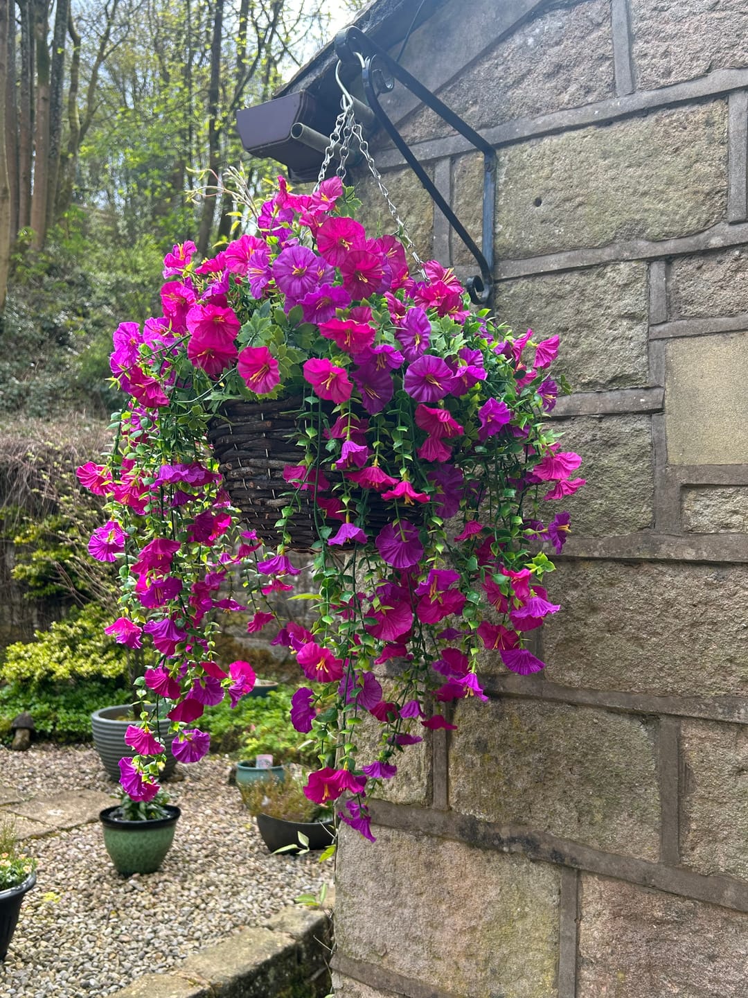 Customer photo review of Outdoor Hanging Petunia Basket - Purple