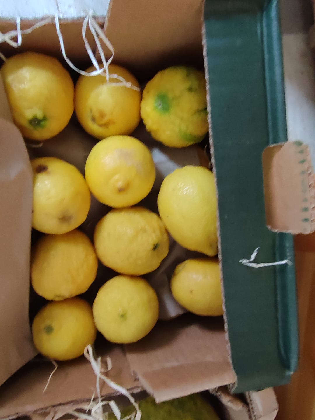 Customer photo review of Ätna Zitronen Bio aus Sizilien 4kg Box Sparpreis %