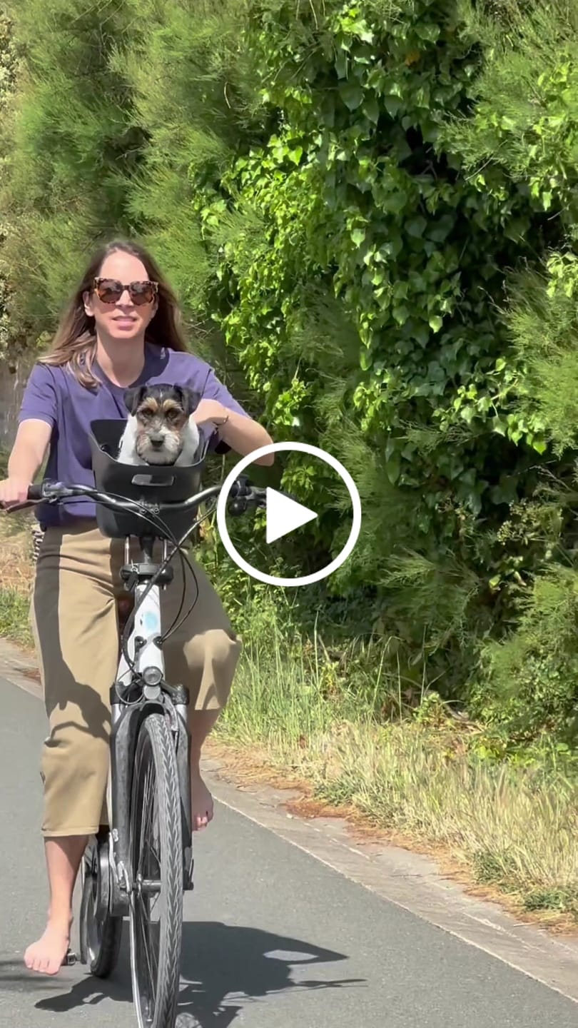 Customer video review of Kvisp Dog Bike Carrier