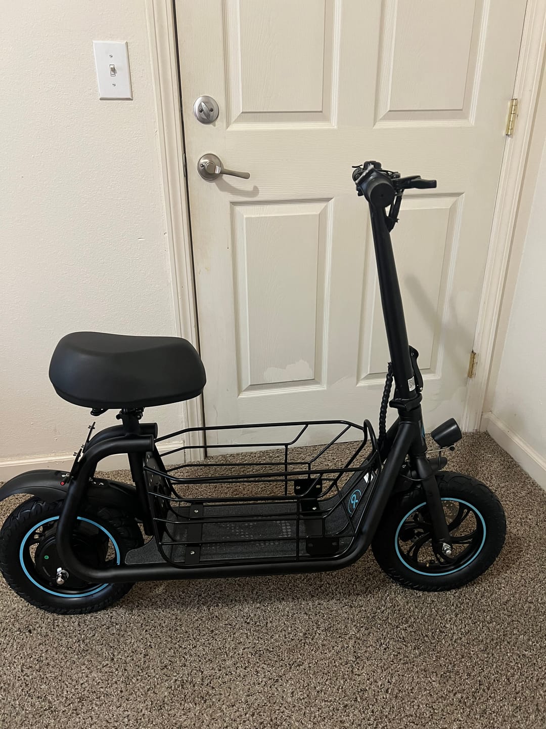 Customer photo review of Gyroor C1S Electric Scooter 800W – Front & Rear Baskets