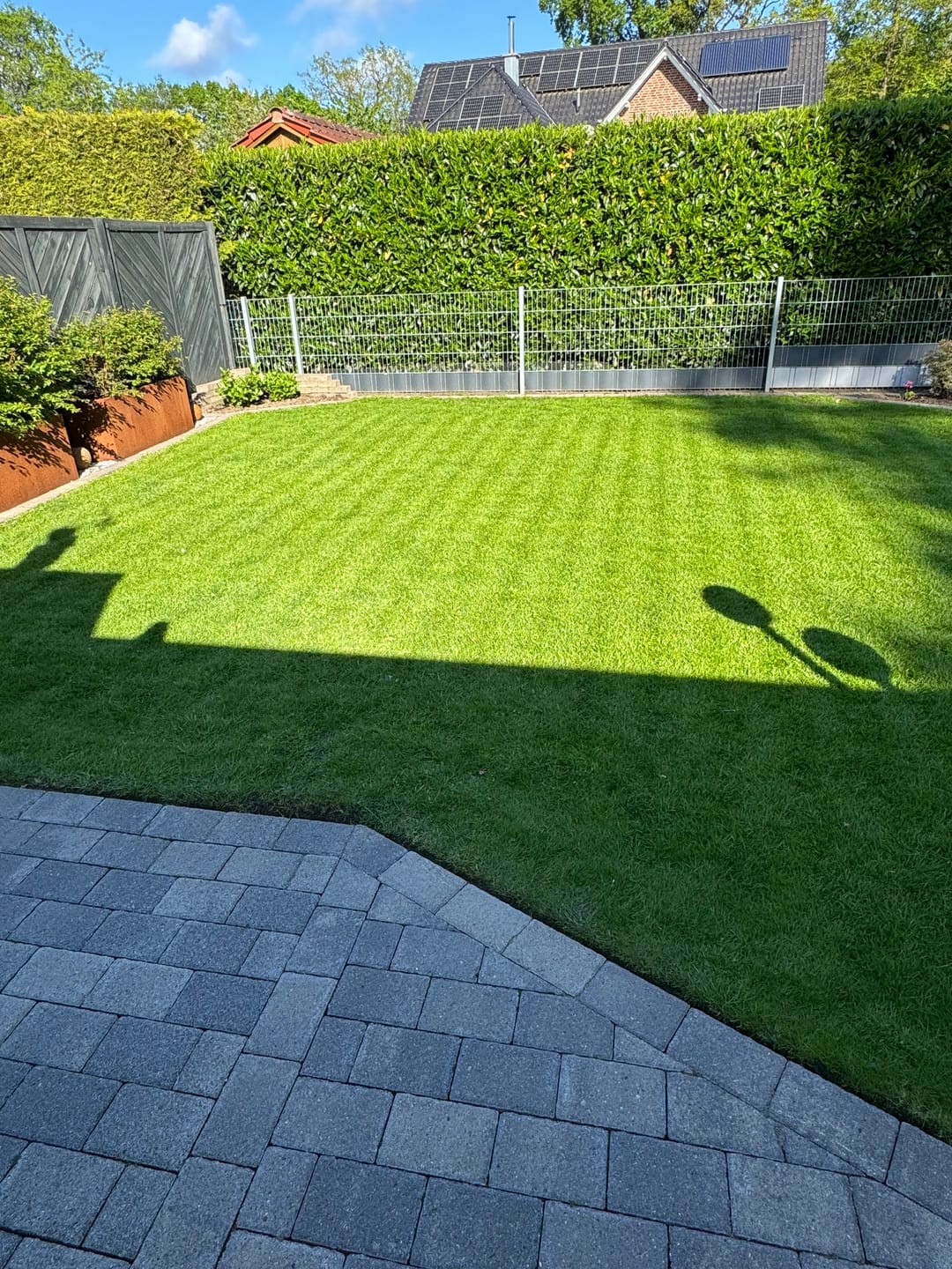 Customer photo review of RASENBLITZ™ - FRÜHJAHRSDÜNGER