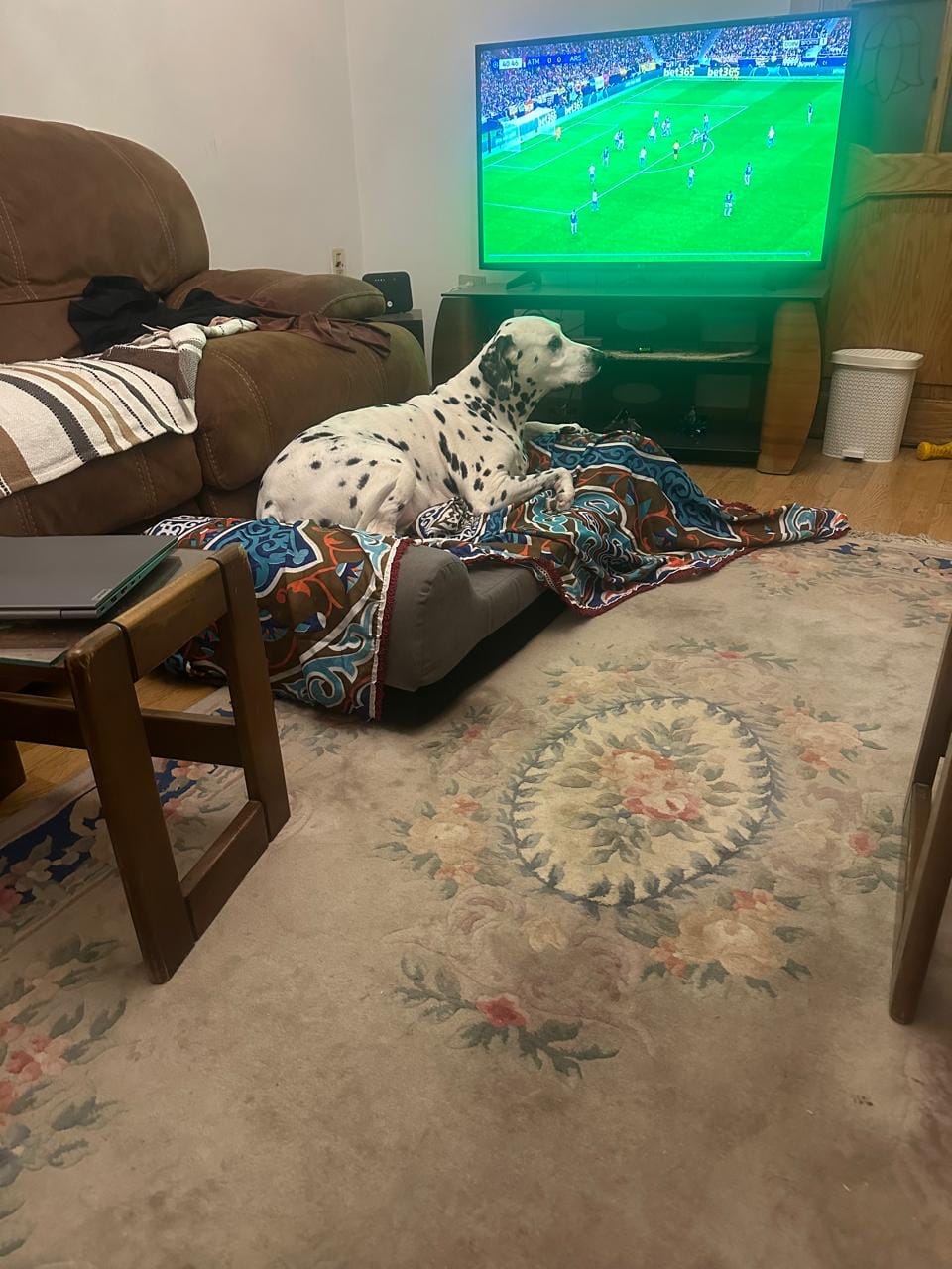 Customer photo review of Orthopedic Memory Foam Pet Bed - Rontac