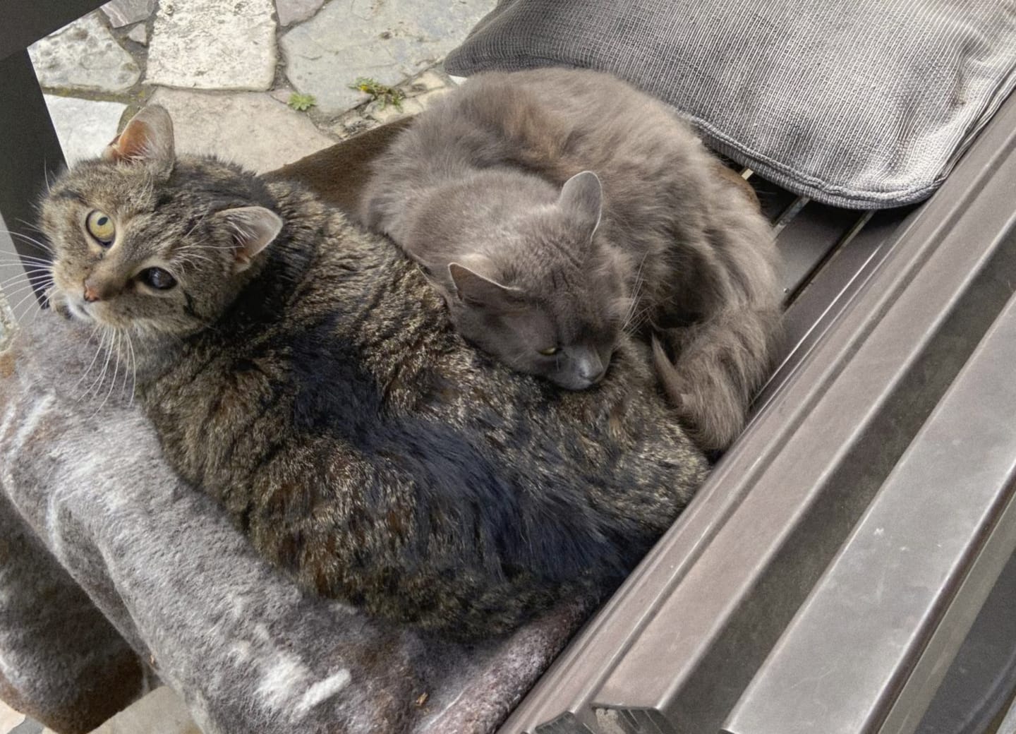 Customer photo review of Katzenklo Schaufel