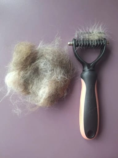 Customer photo review of FurFlow Dog Deshedding Undercoat Rake Brush | Ultimate Dog Grooming Tool