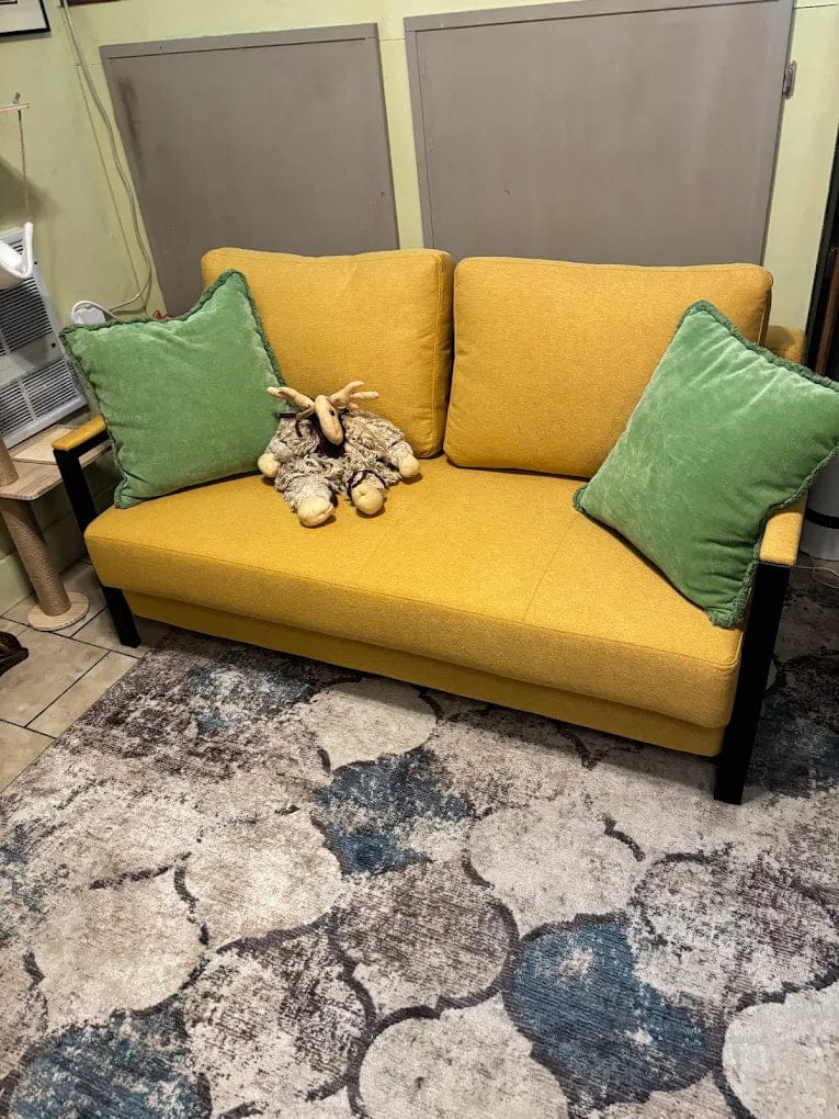 Customer photo review of Alure 2 Seat Sofa Bed