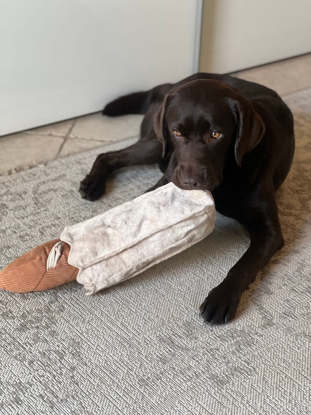 Customer photo review of Schnüffel-Spielzeug "Baguette"