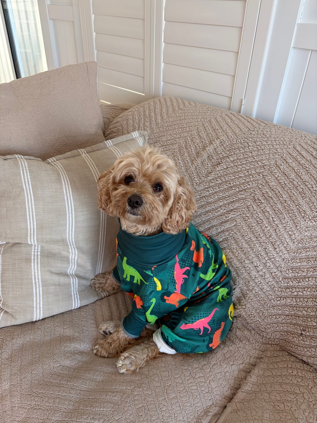 Customer photo review of Dog Pajama Prints
