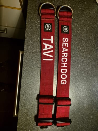 Customer photo review of 5cm Combat® Collar | NO Handle & Secure Clip - Burgundy